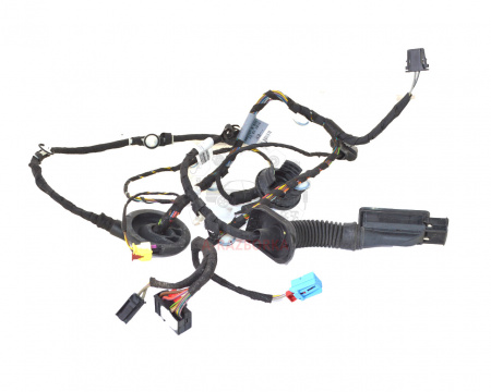 Проводка двери передней правой AUDI A3 8V4971030G